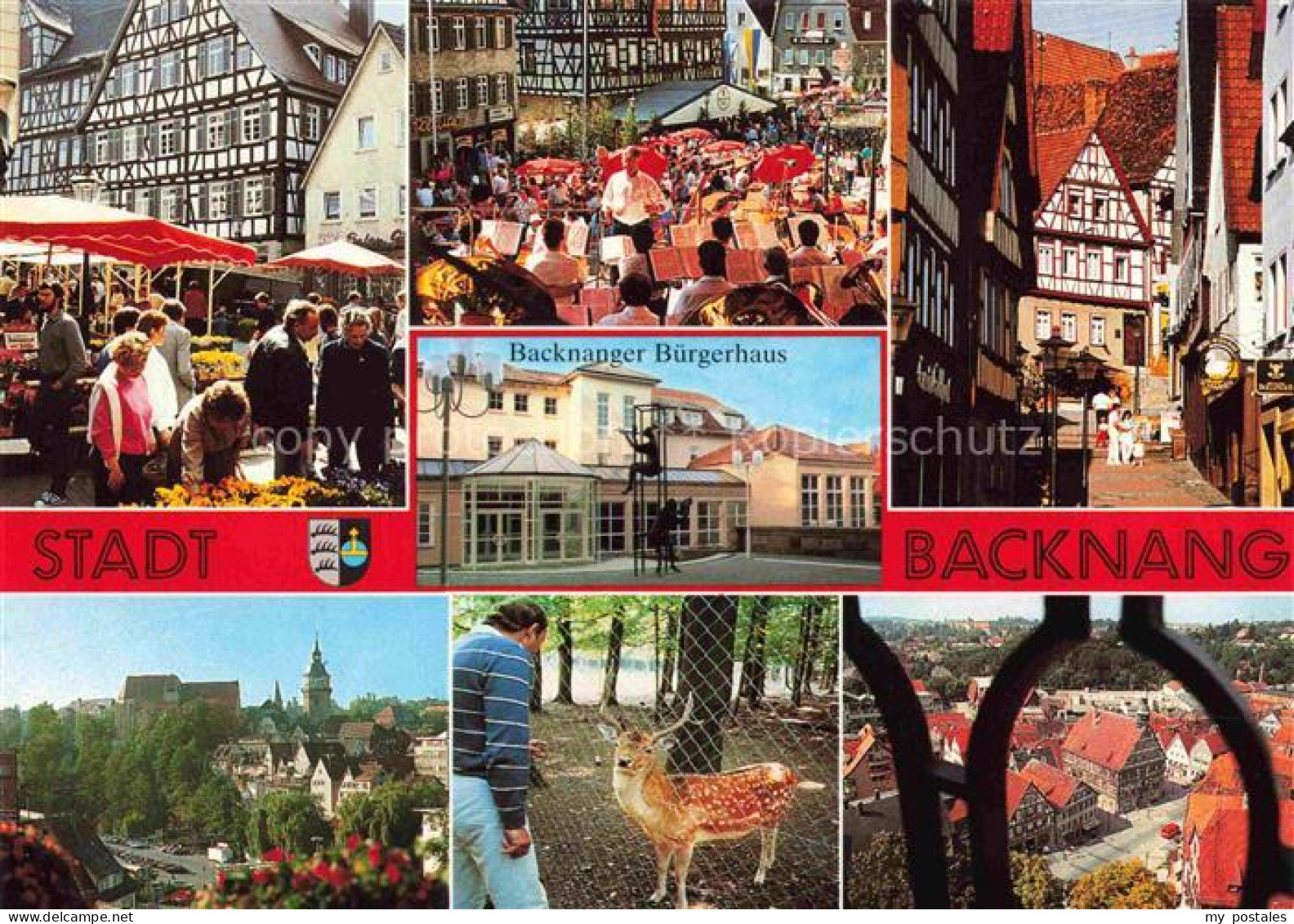 Backnang BW Markt Fachwerkhaus Buergerhaus Panorama Wildpark