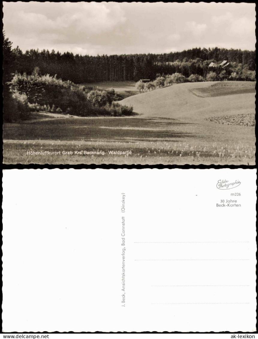 Backnang Umland-Ansichn Höhenluftkurort Grab Krs. Backnang Waldpartie 1950