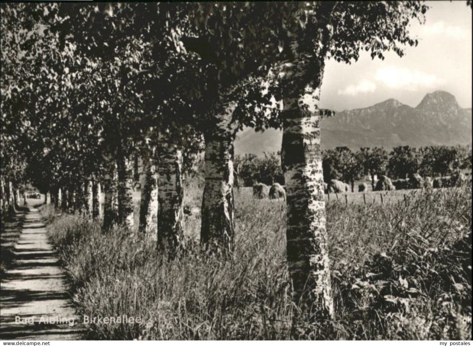 Bad Aibling Birkenallee