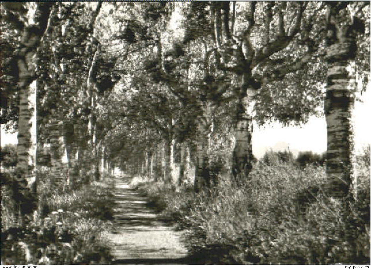 Bad Aibling Moorbad Aibling Allee