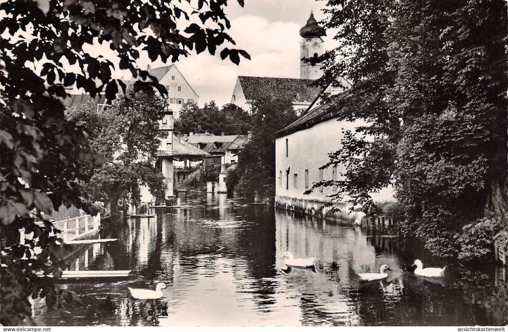 Bad Aibling - Partie an der Glonn gl1964 #155.131
