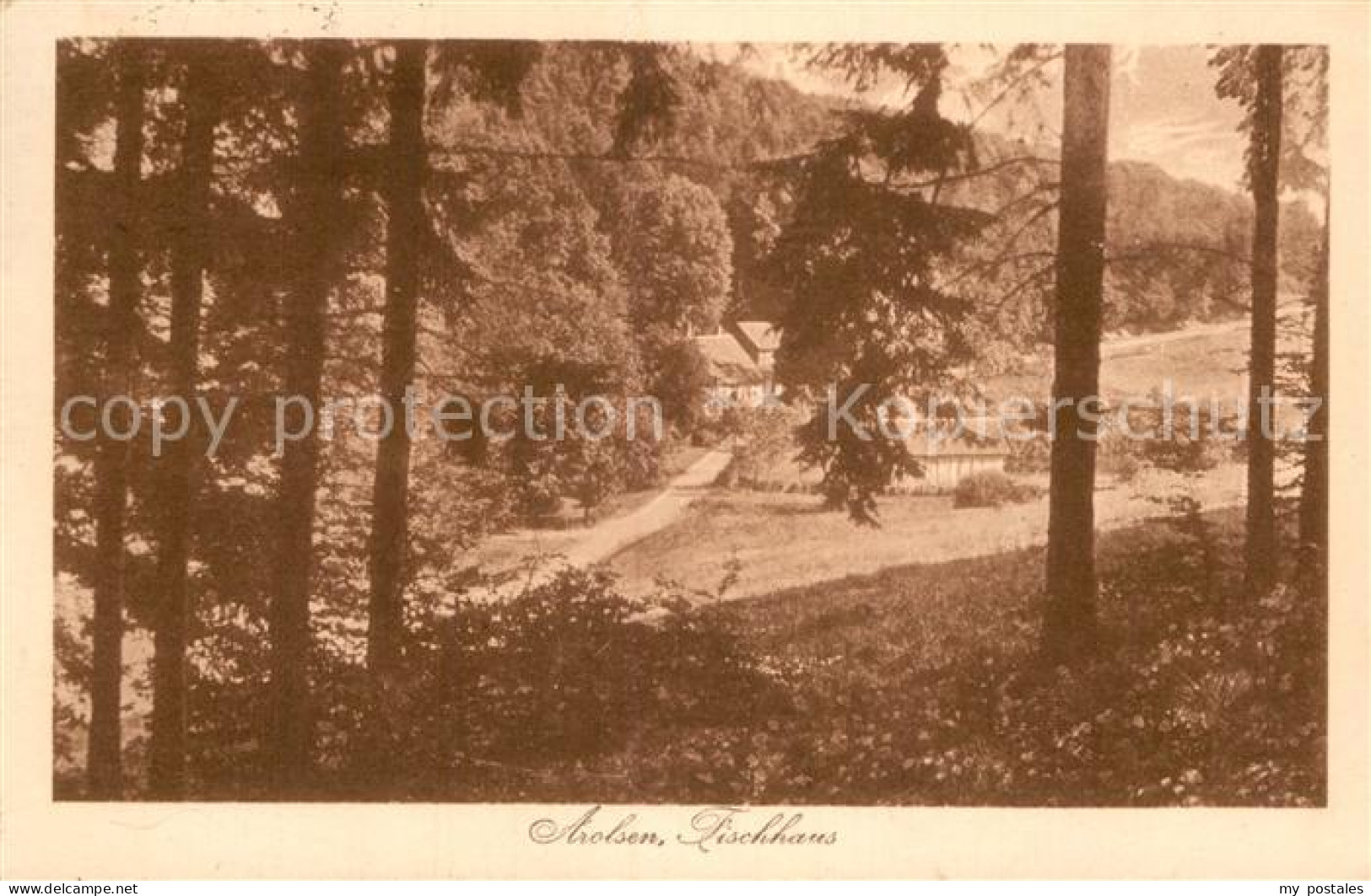 Bad Arolsen Fischhaus