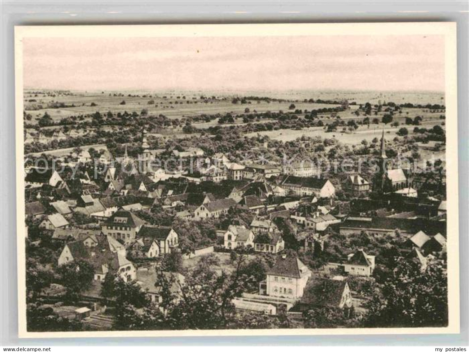 Bad Bergzabern Panorama