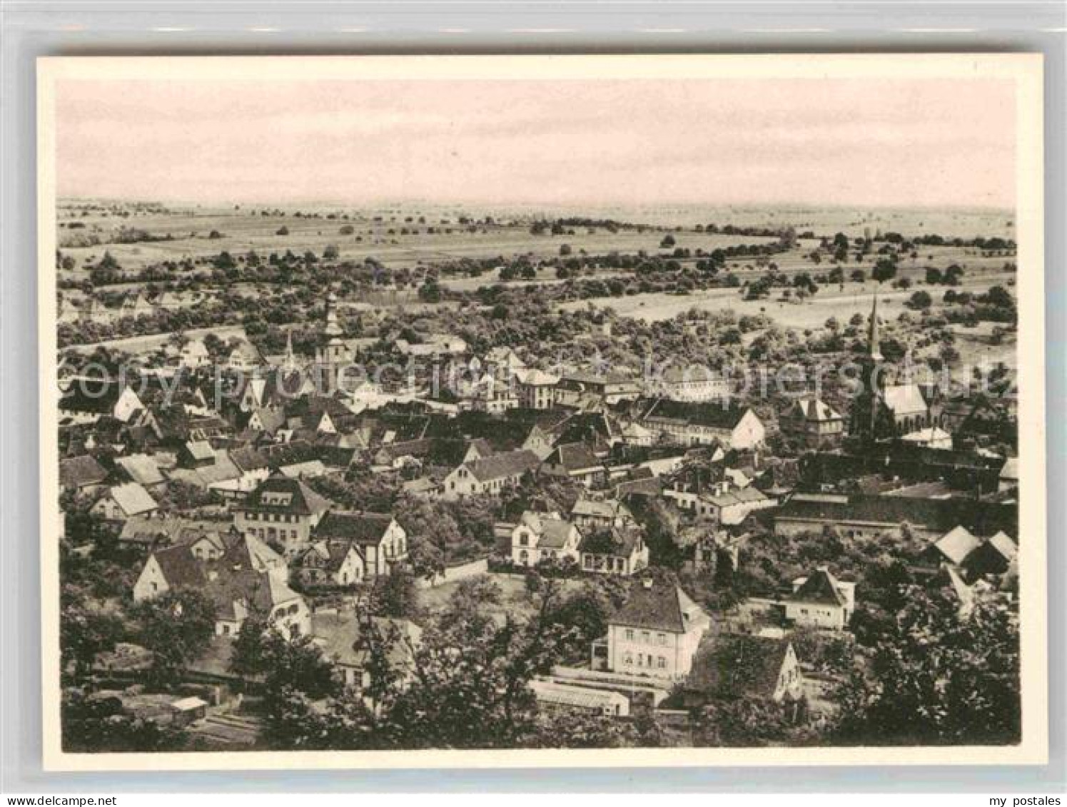 Bad Bergzabern Panorama