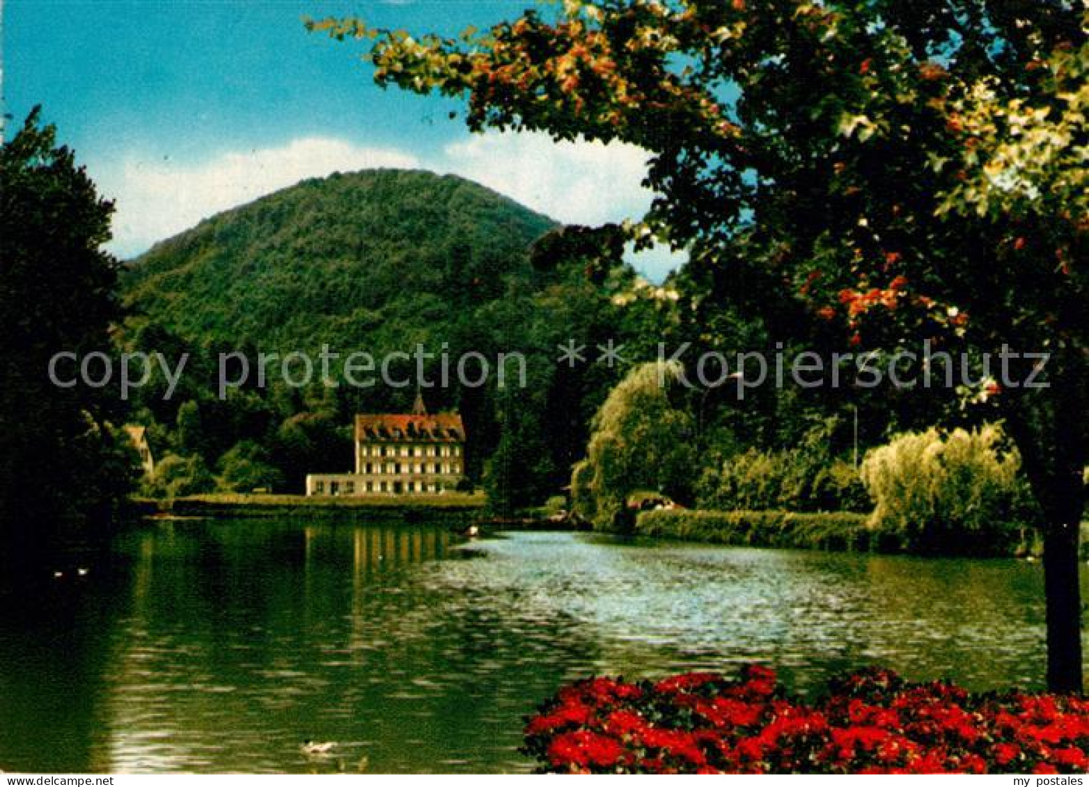 Bad Bergzabern Schwanenweiher