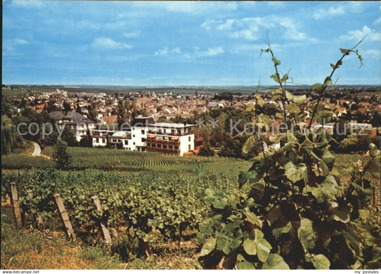 Bad Bergzabern Teilansicht