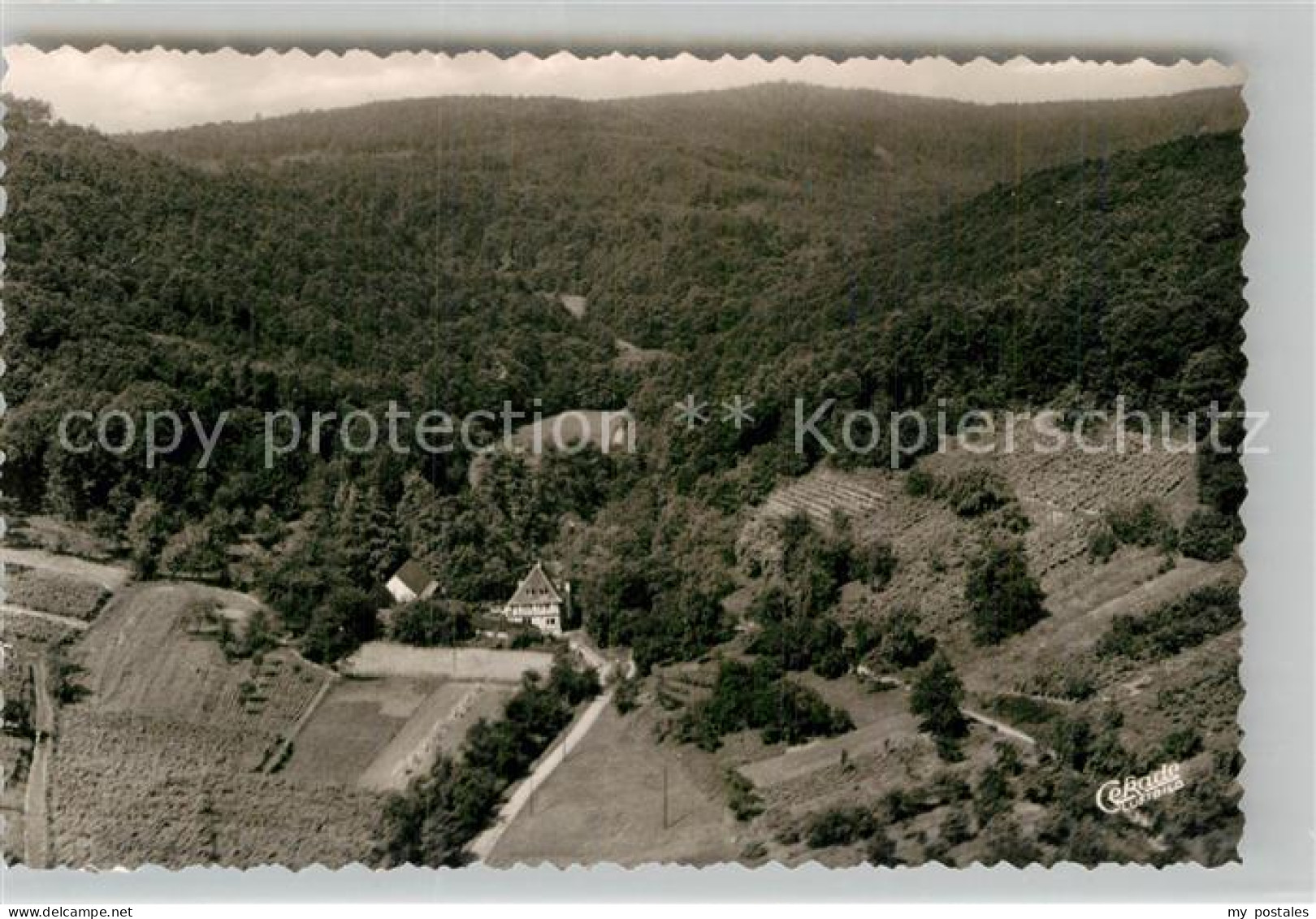 Bad Bergzabern Wappenschmiede