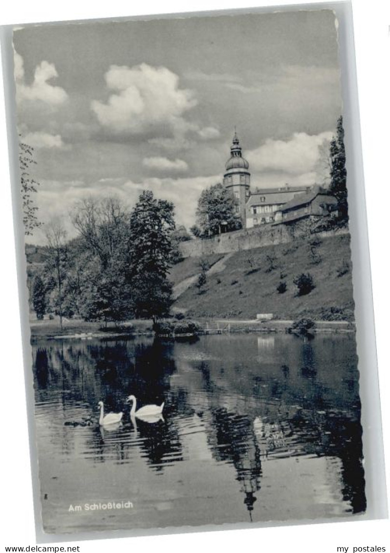 Bad Berleburg Schlossteich