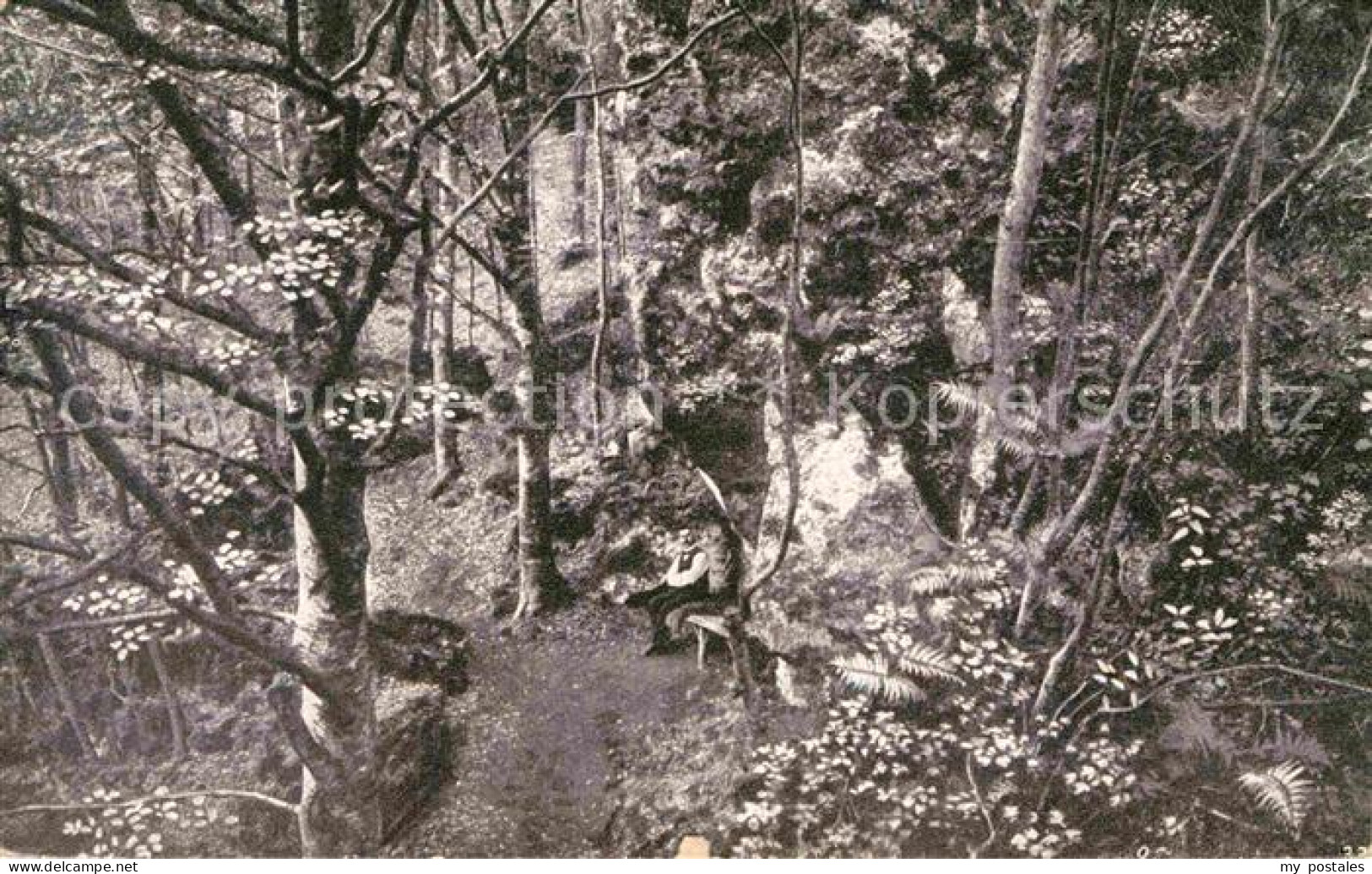 Bad Bertrich Dachsloecher