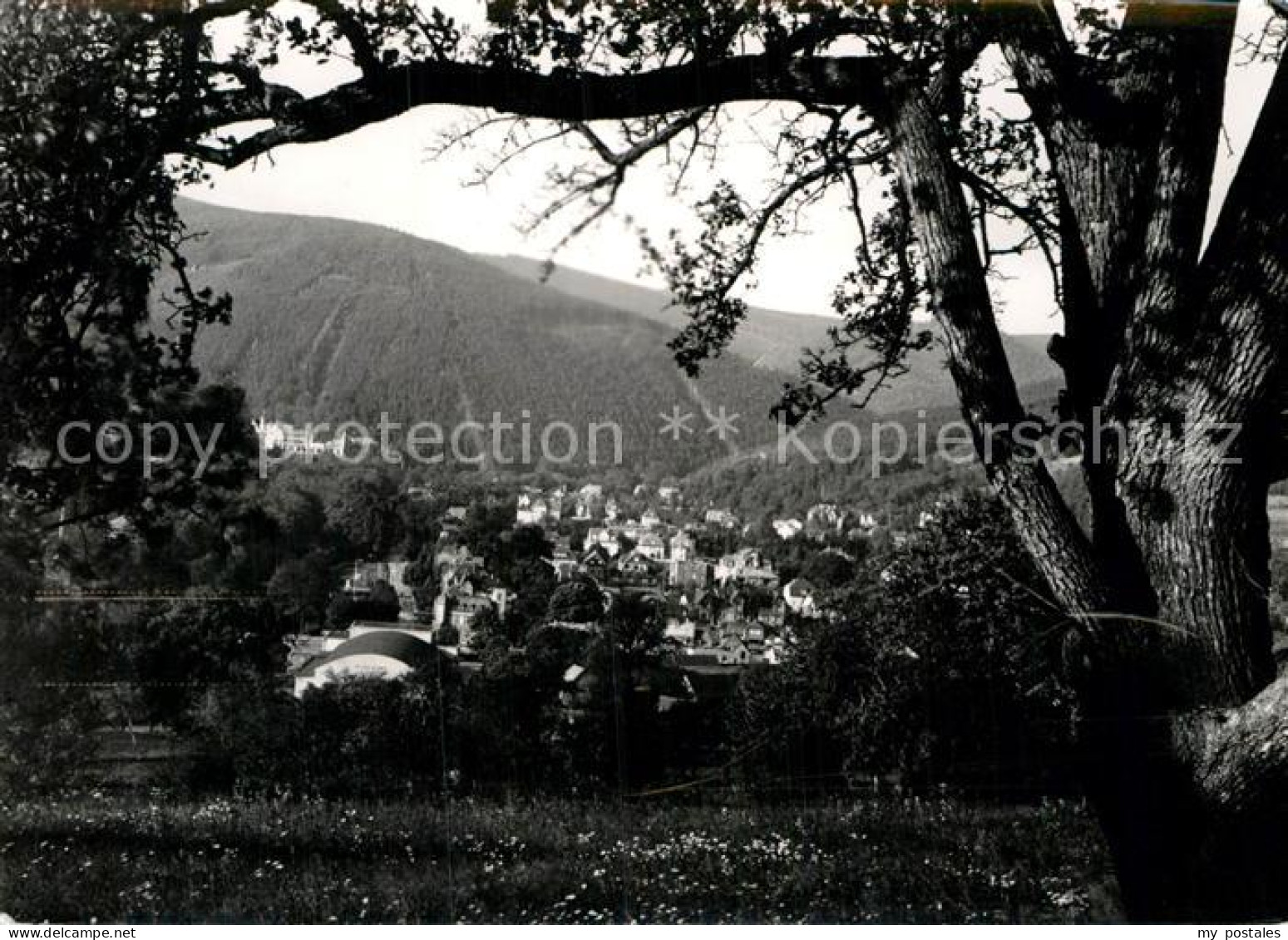 Bad Blankenburg Schwarzatal
