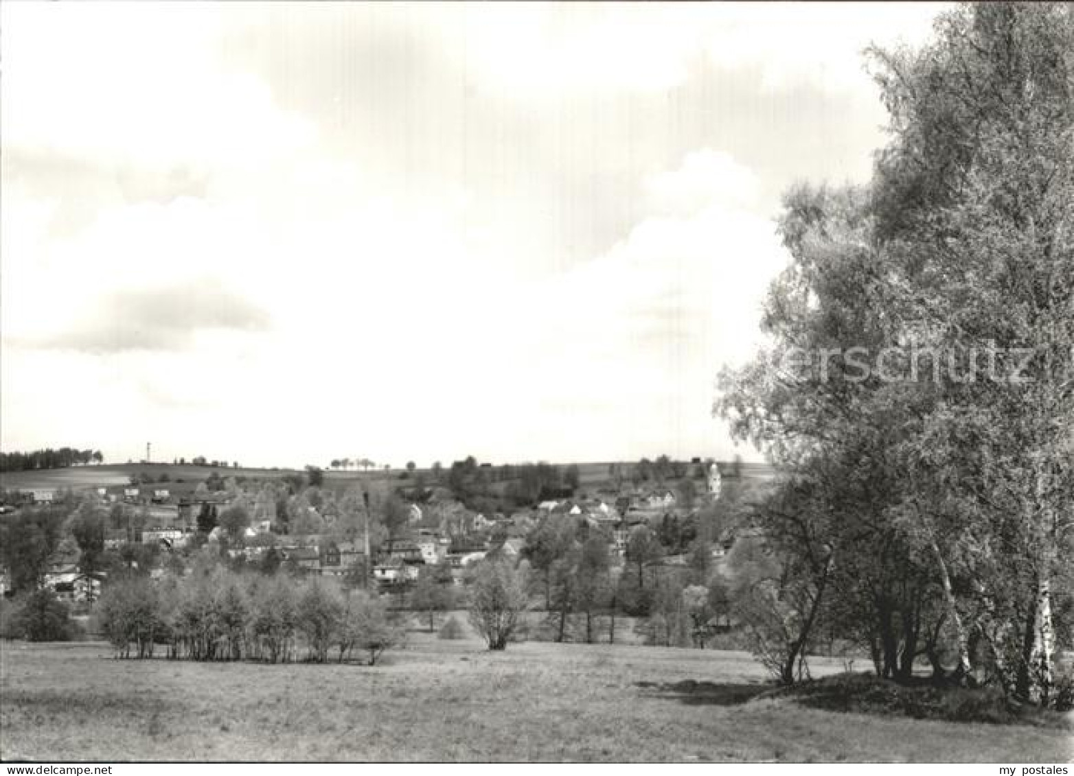 Bad Brambach Panorama