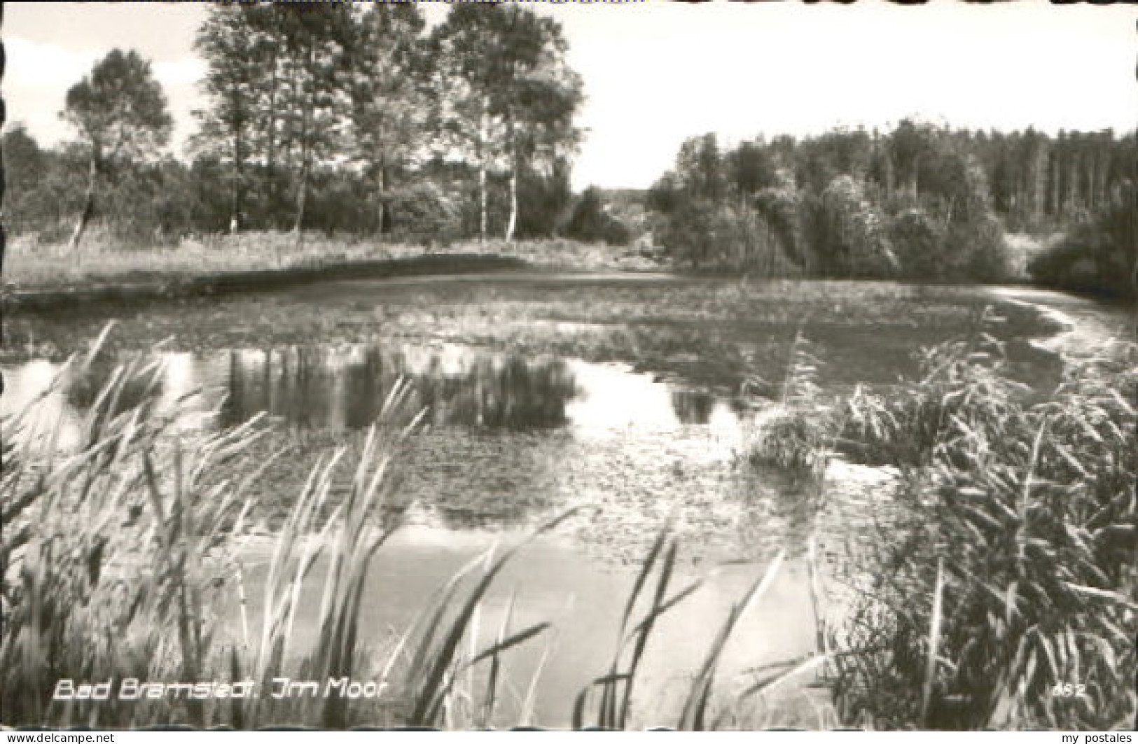 Bad Bramstedt Moor