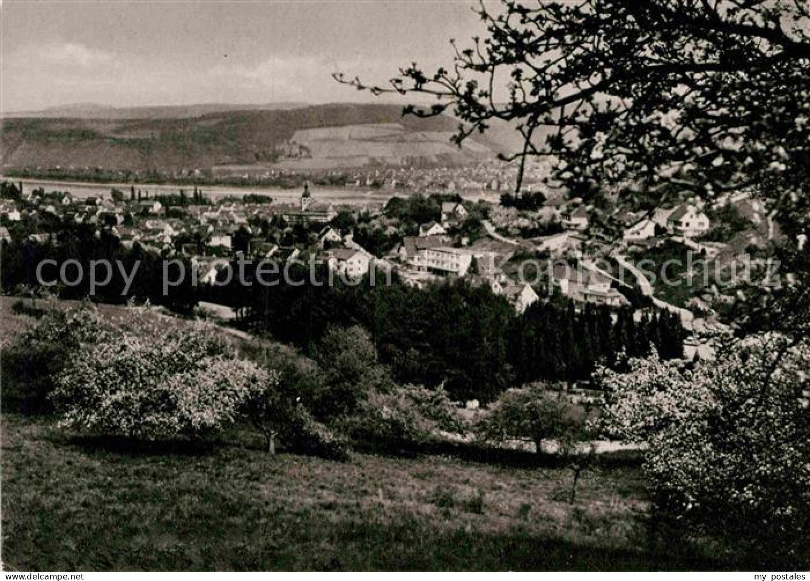 Bad Breisig Panorama