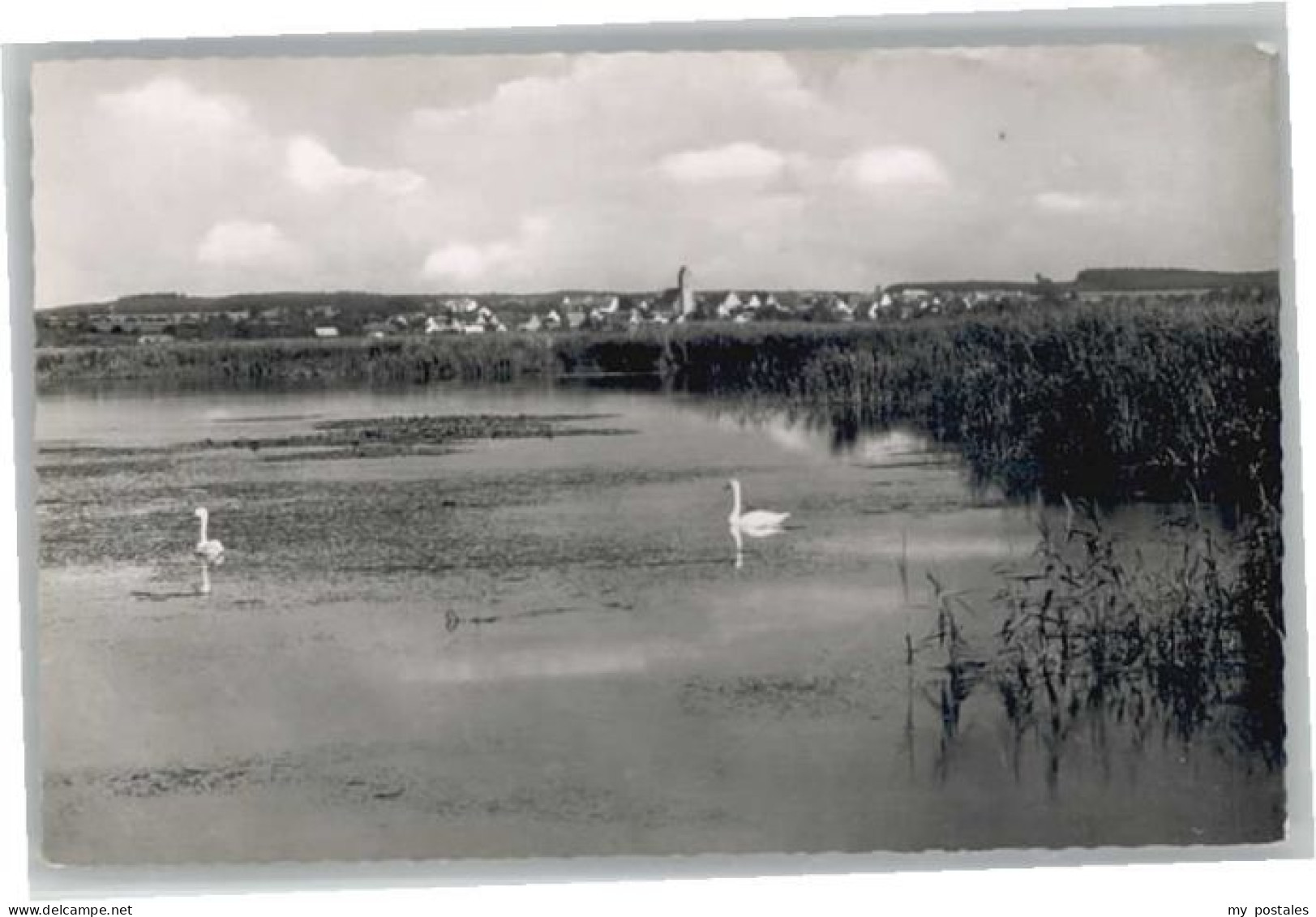 Bad Buchau Federsee