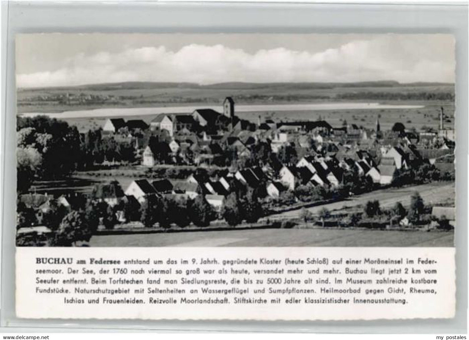 Bad Buchau Federsee