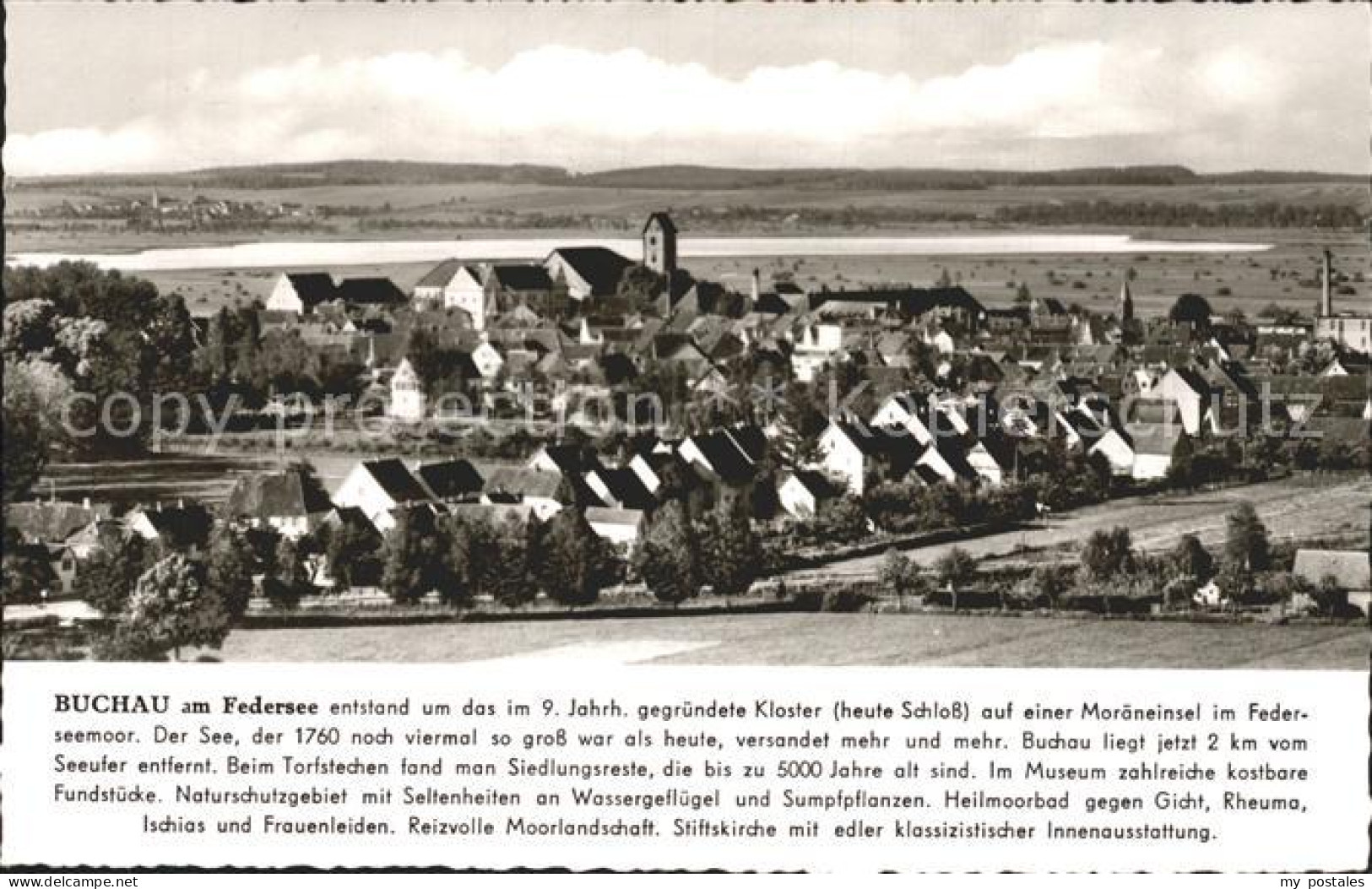 Bad Buchau Federsee Stadtblick
