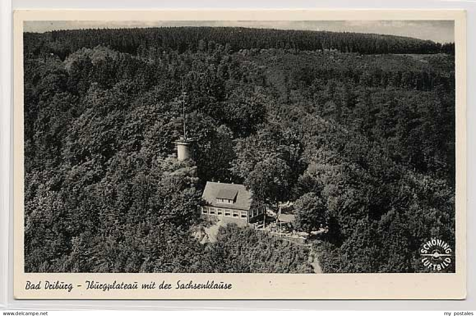 Bad Driburg Bad Driburg