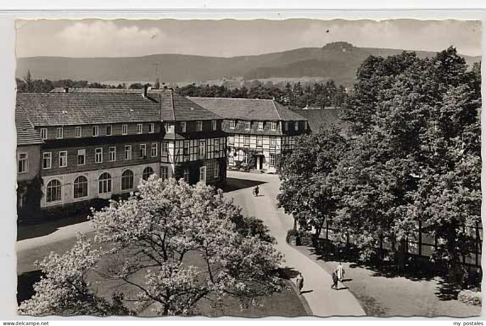 Bad Driburg Bad Driburg