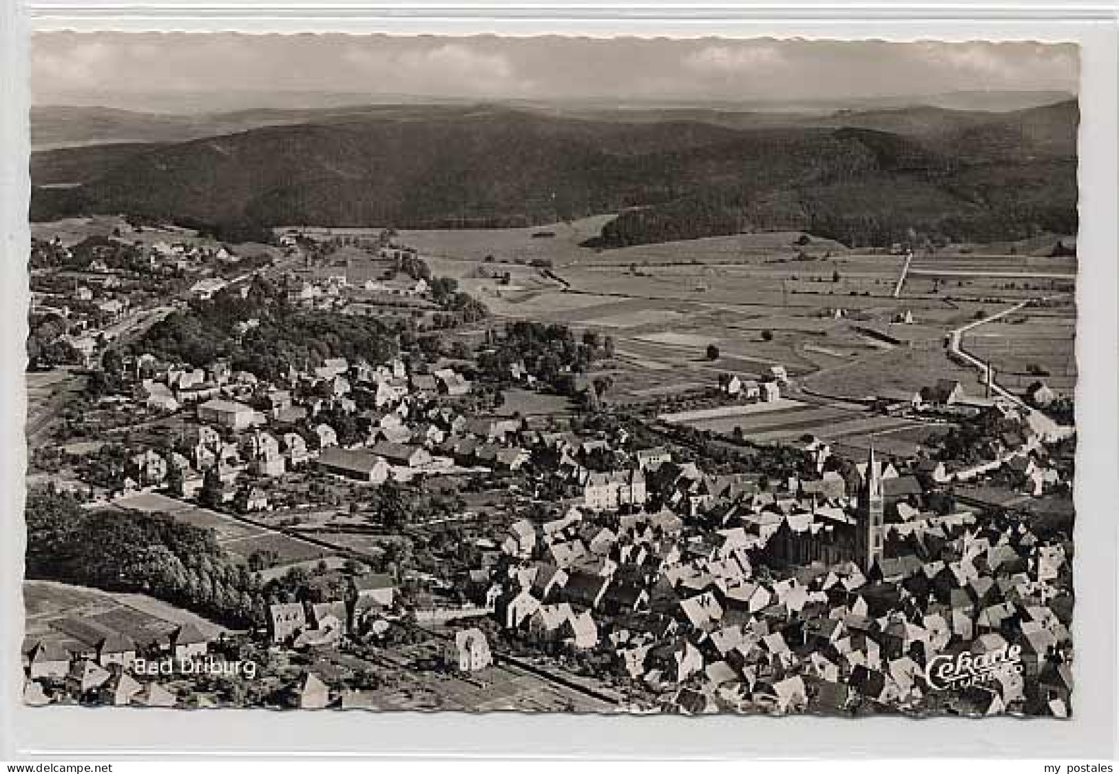 Bad Driburg Bad Driburg