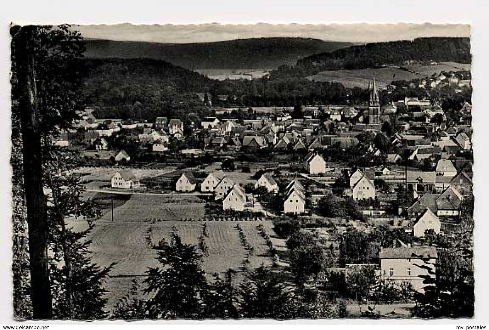 Bad Driburg Bad Driburg