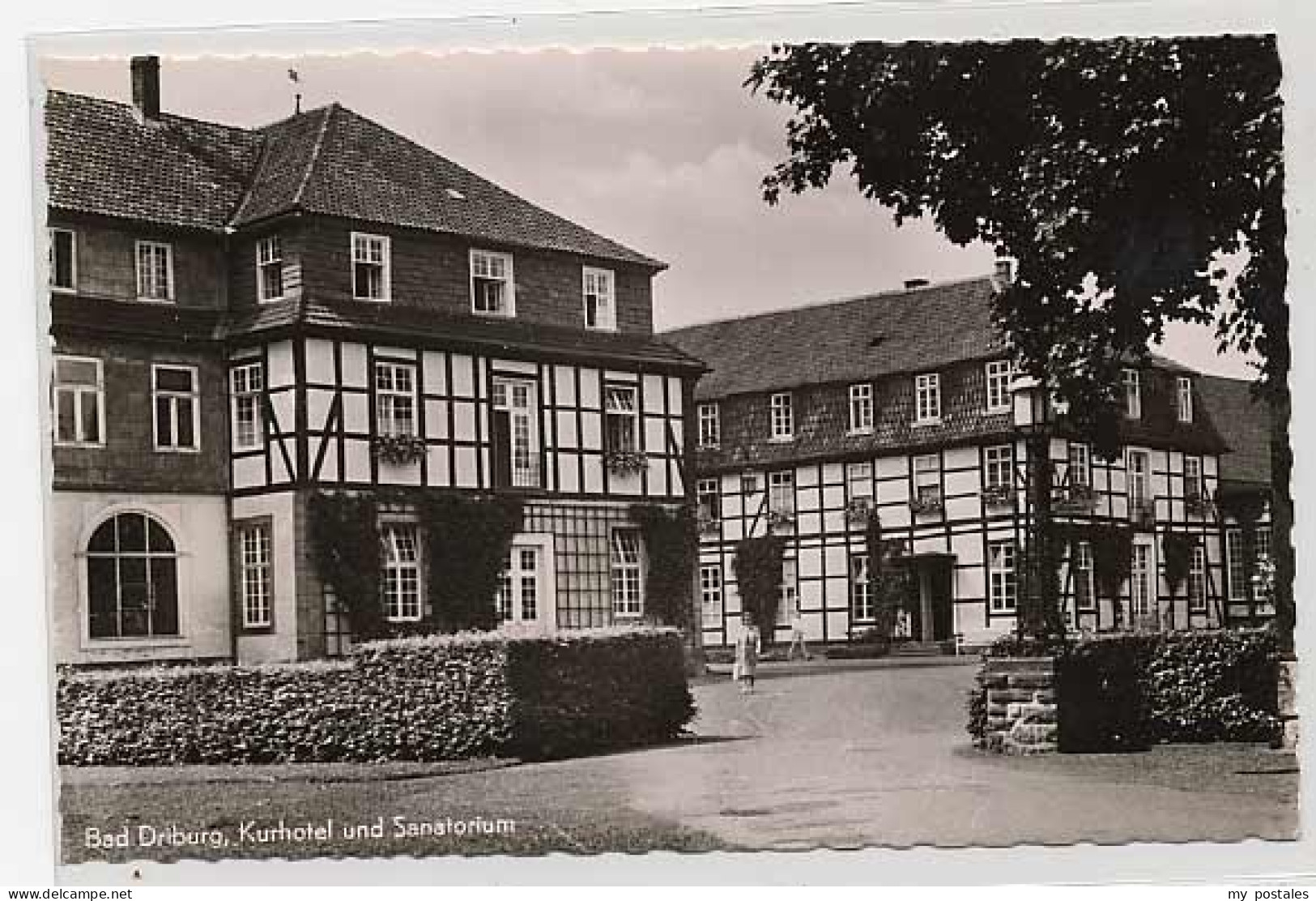 Bad Driburg Bad Driburg