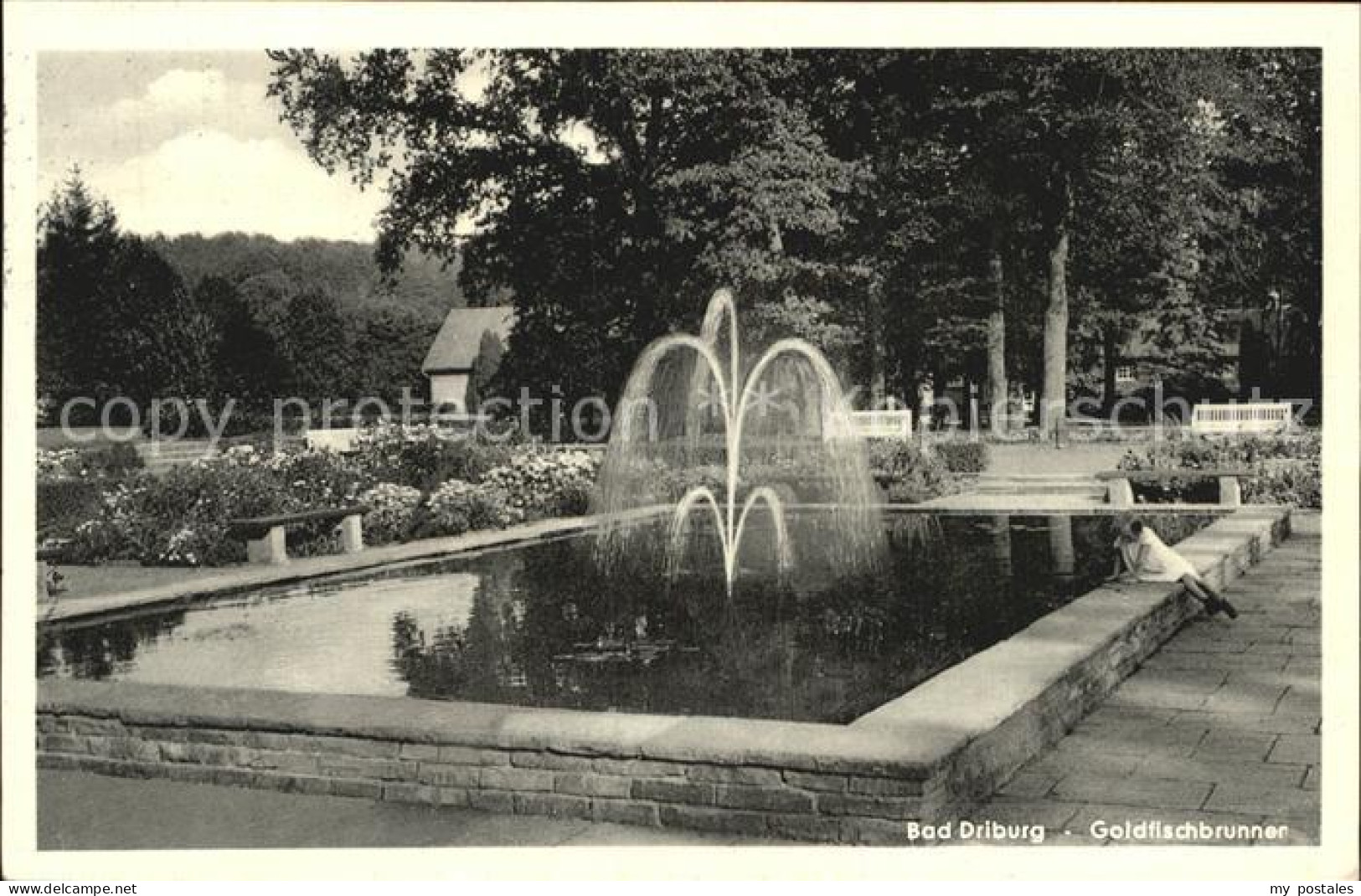 Bad Driburg Goldfischbrunnen