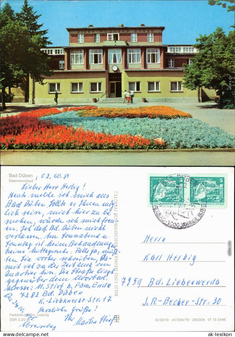 Bad Düben Eisenmoorbad Ansichtskarte  1979