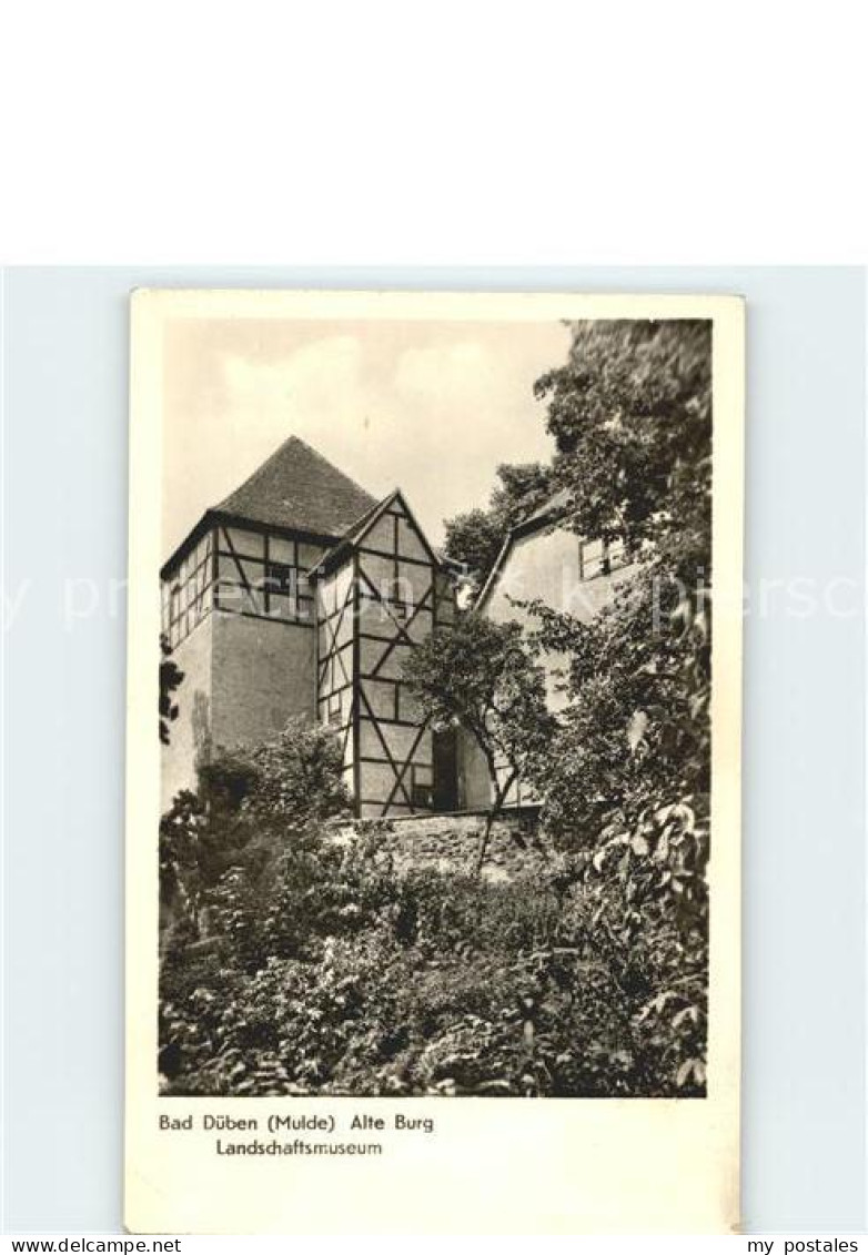 Bad Dueben Alte Burg Landschaftsmuseum