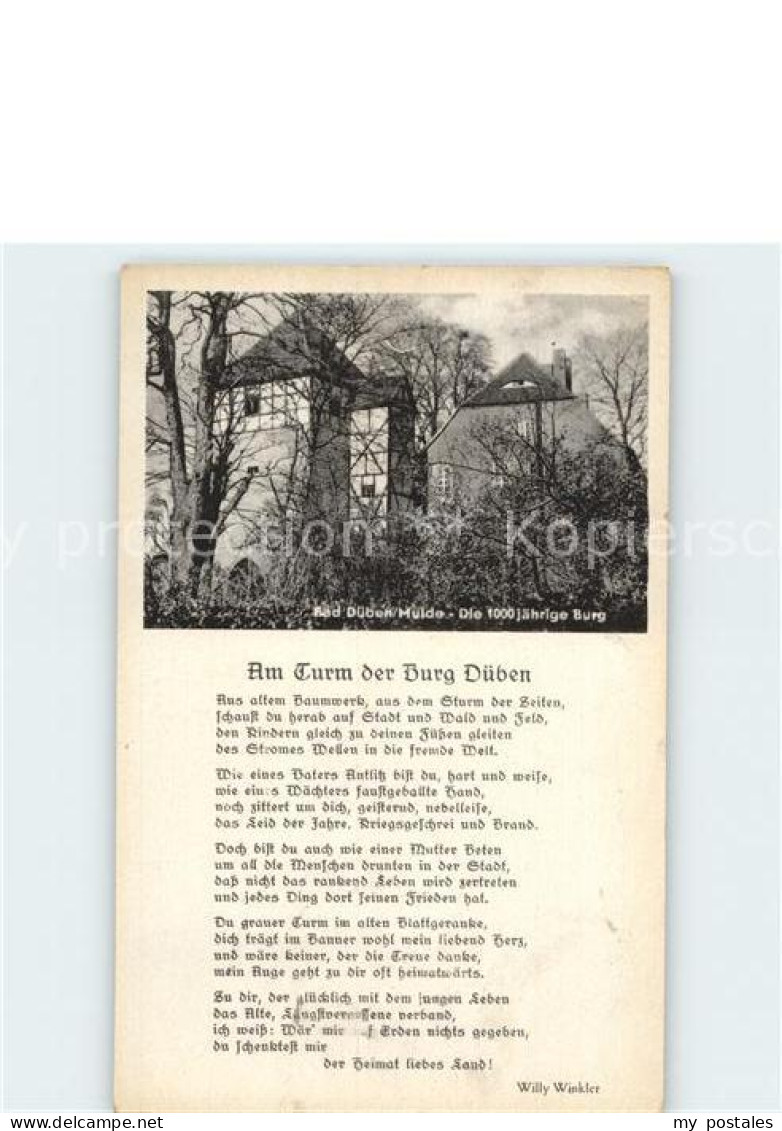 Bad Dueben Am Turm der Burg Dueben