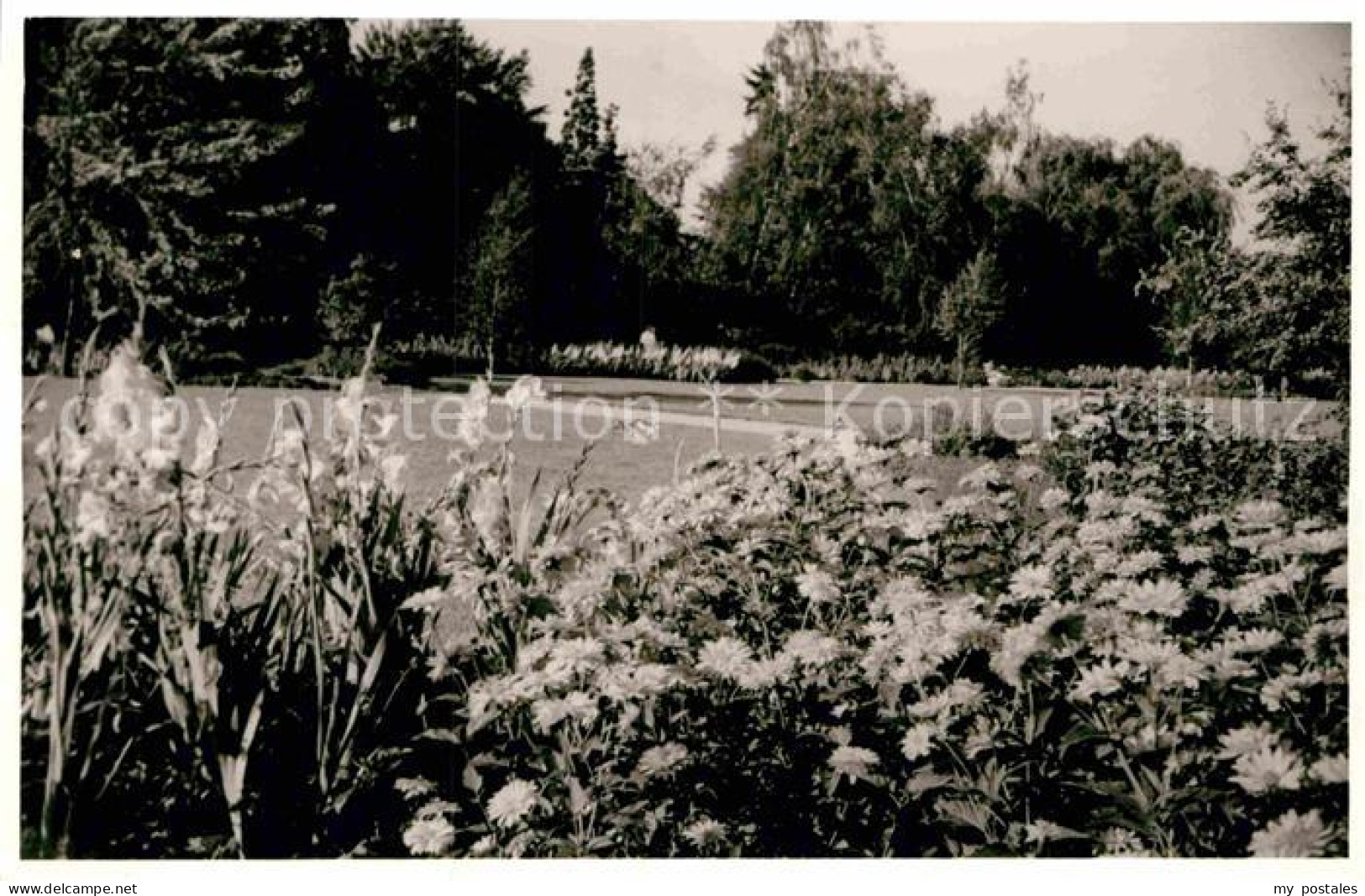 Bad Duerkheim Kurpark