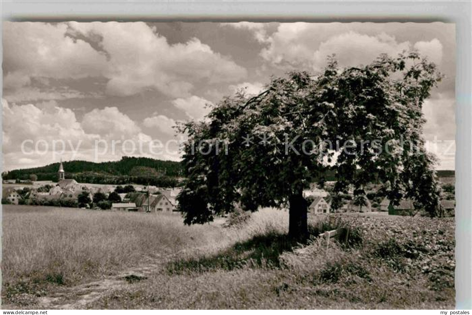 Bad Duerrheim Panorama