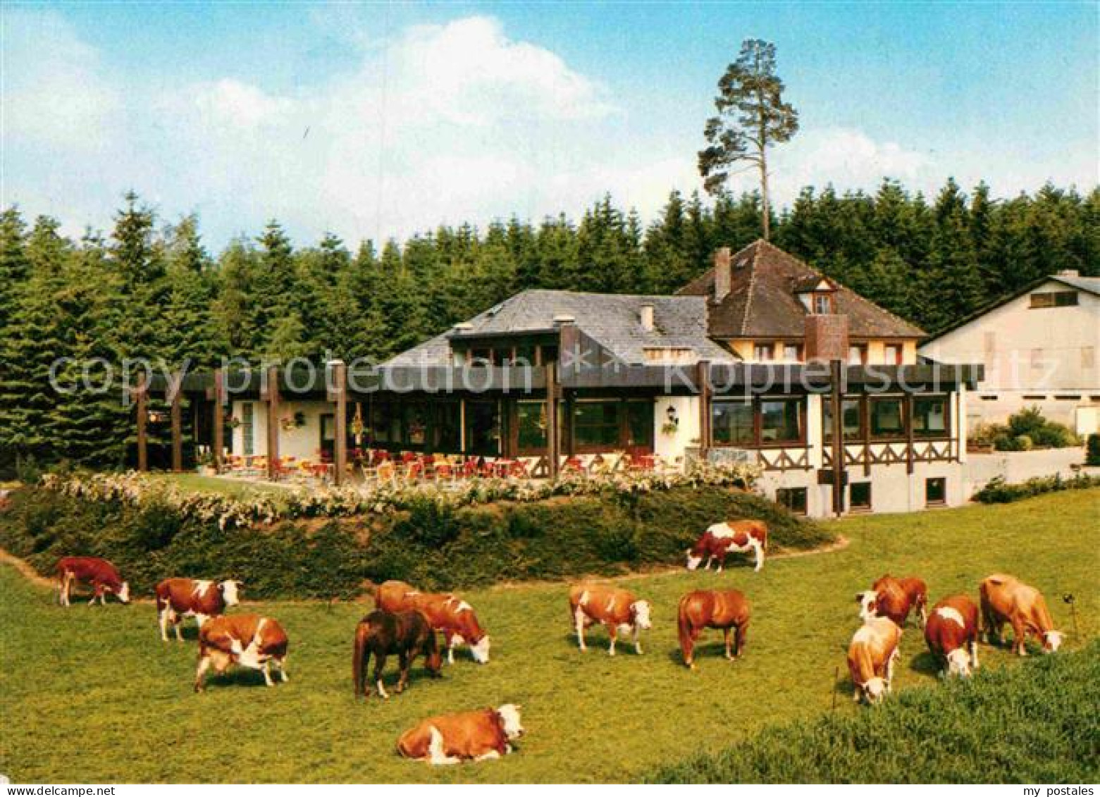 Bad Duerrheim WaldCafe