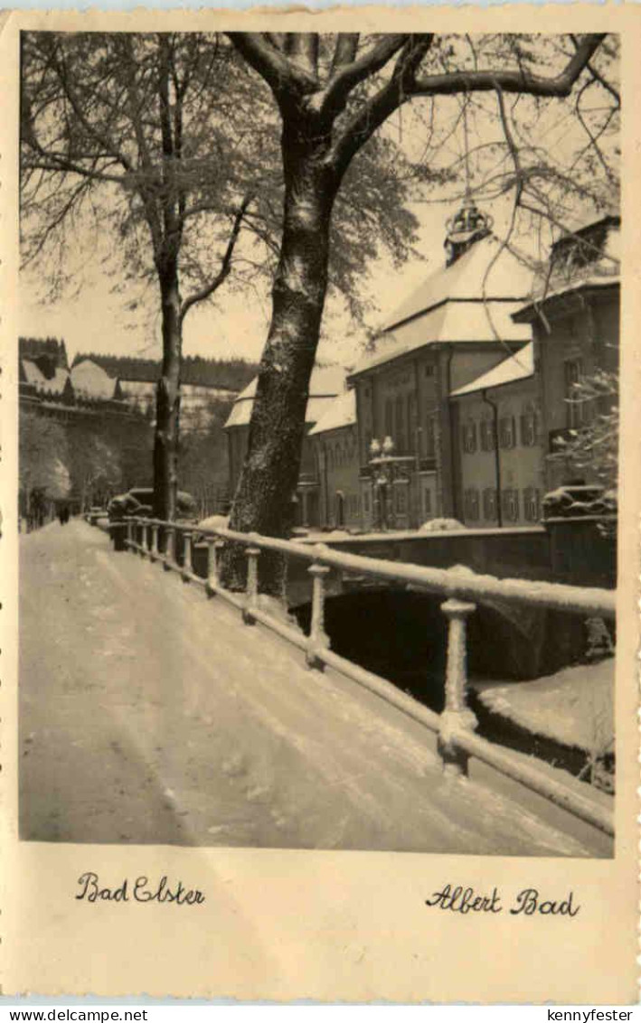 Bad Elster, Albert Bad