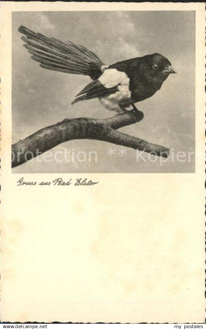 Bad Elster Elster