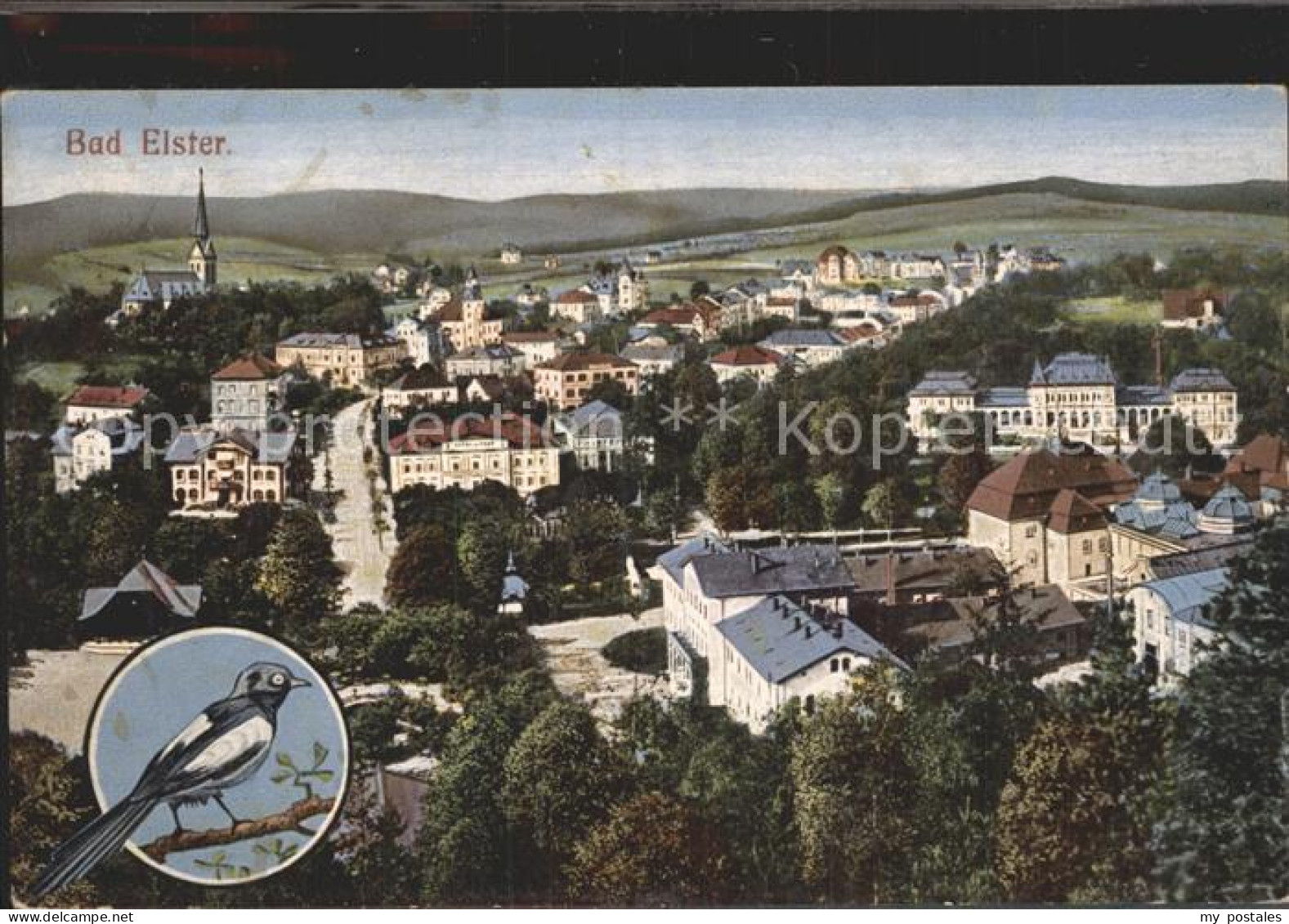 Bad Elster Stadtansicht Elster