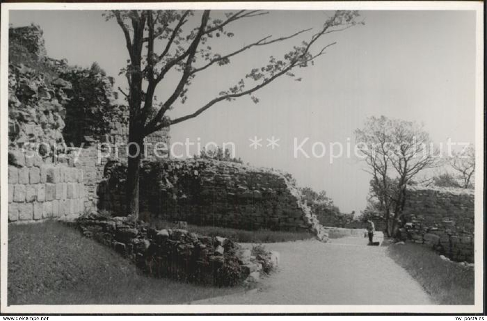 Bad Frankenhausen Burg