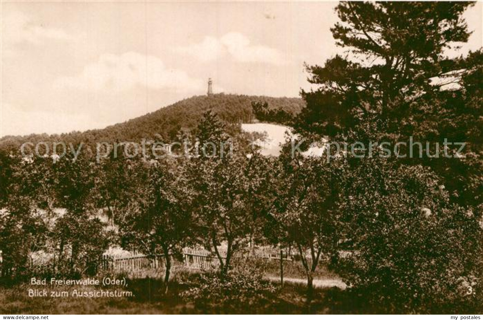 Bad Freienwalde Aussichtsturm
