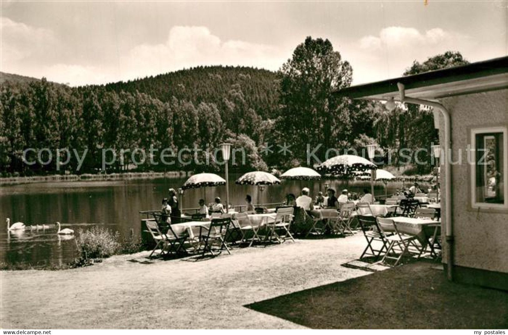 Bad Gandersheim Terrassen am Osterbergsee