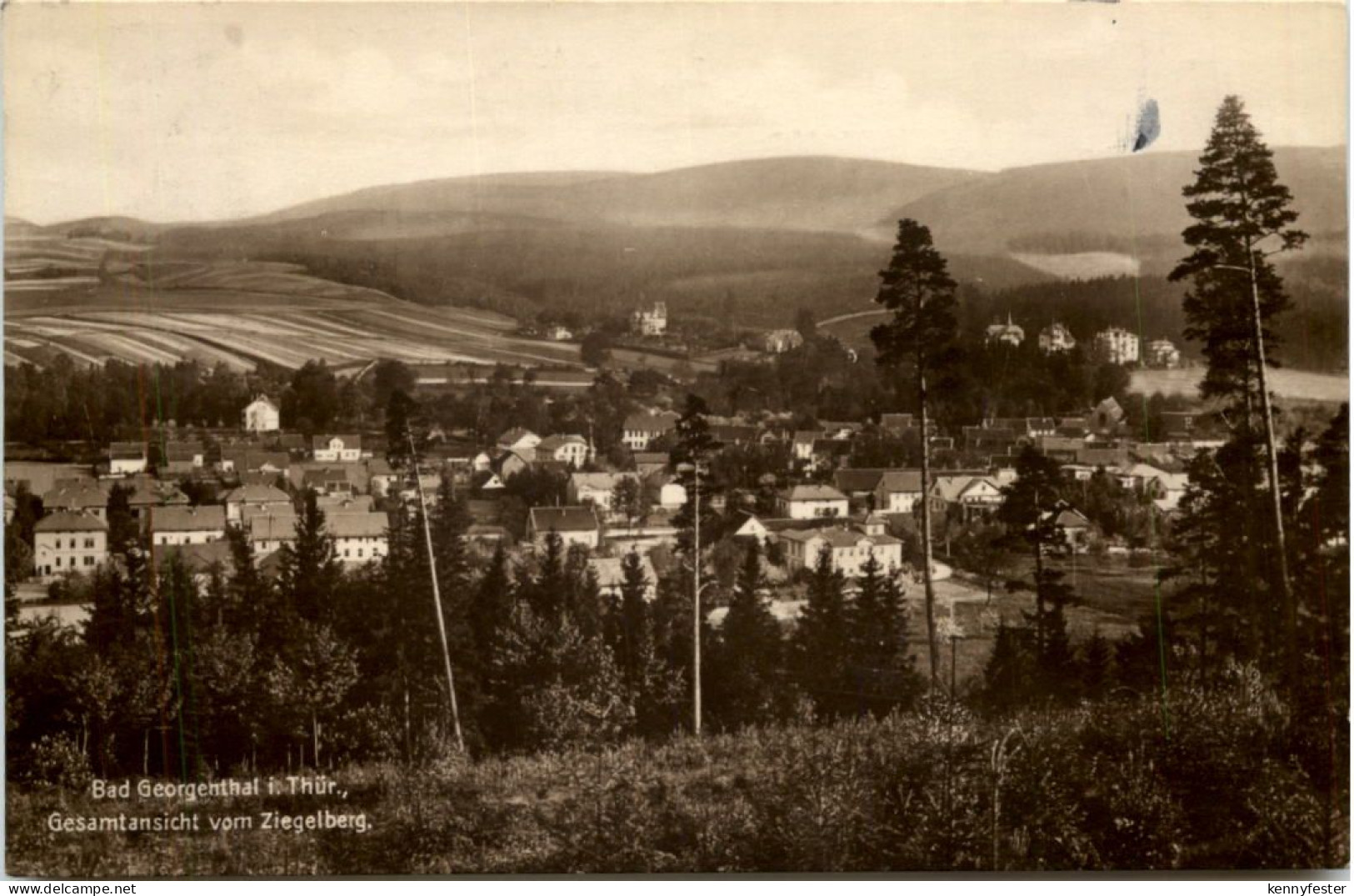 Bad Georgenthal, Gesamtansicht vom Ziegelberg