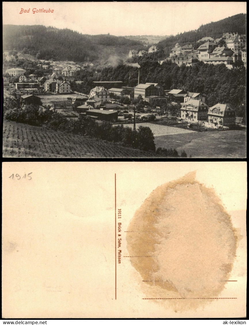 Bad Gottleuba-Bad Gottleuba-Berggießhübel Stadtpartie Fabrik 1915