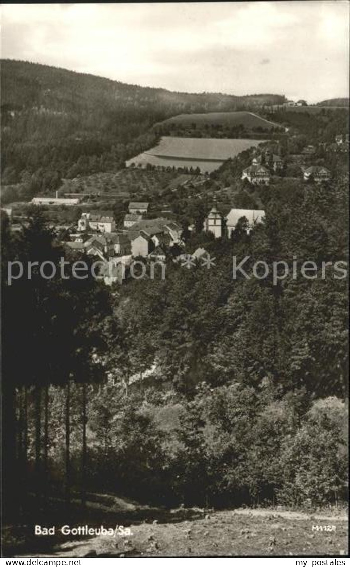 Bad Gottleuba-Berggiesshuebel Ortsblick