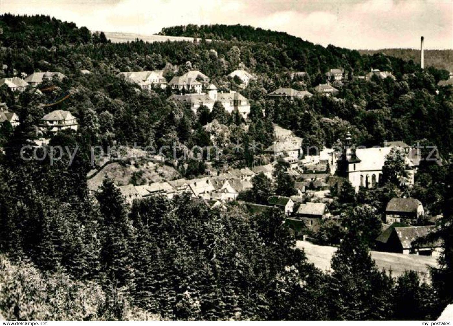 Bad Gottleuba-Berggiesshuebel Panorama