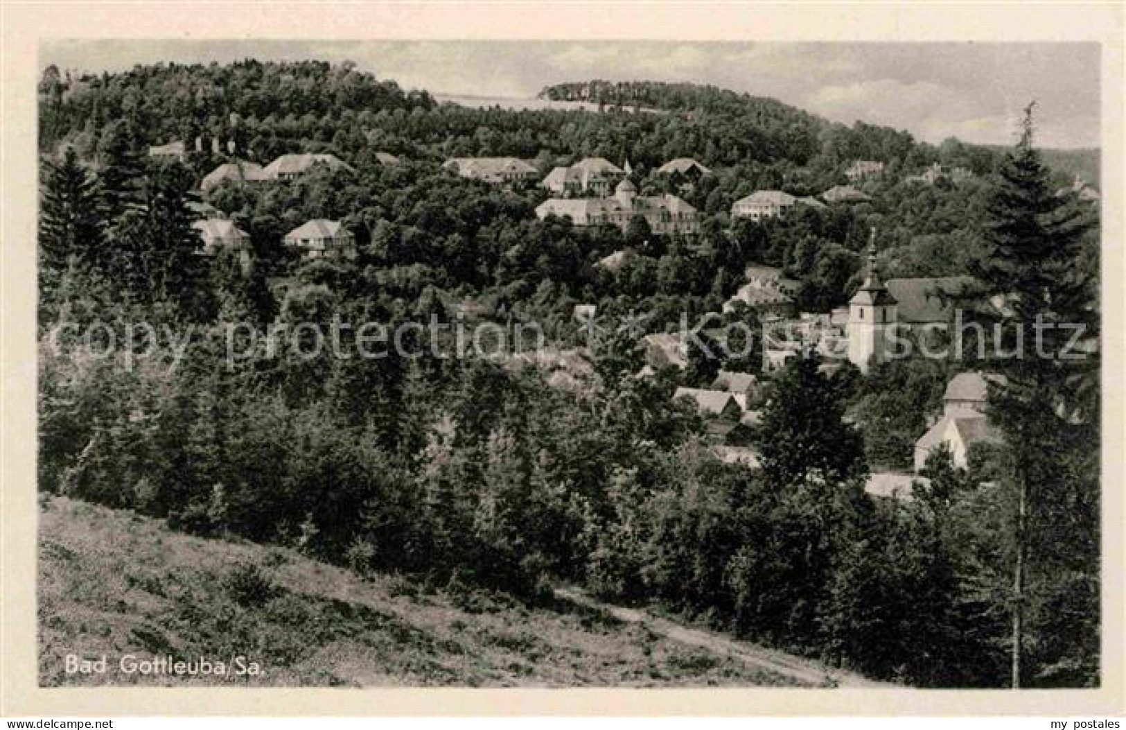 Bad Gottleuba-Berggiesshuebel Panorama