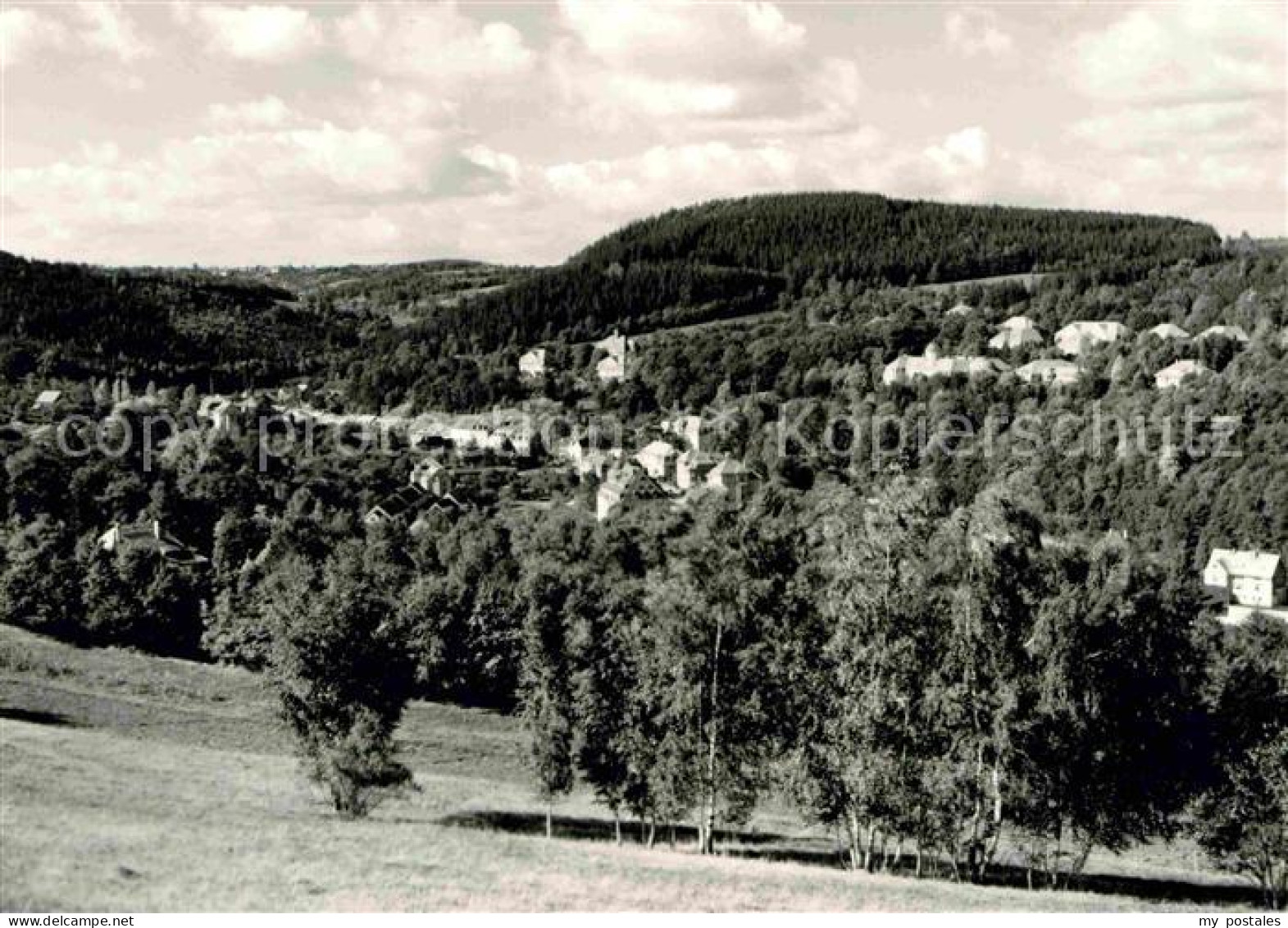 Bad Gottleuba-Berggiesshuebel Panorama