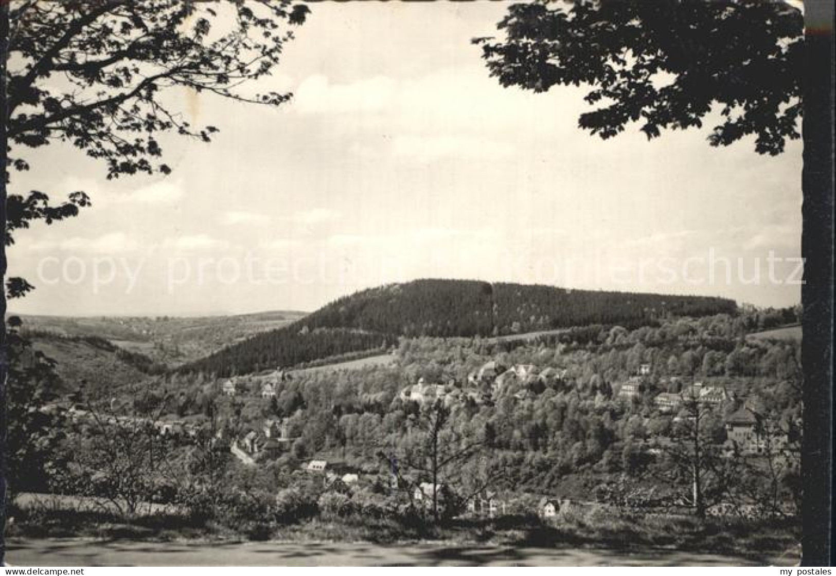 Bad Gottleuba-Berggiesshuebel Panorama