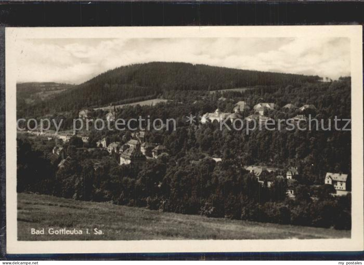 Bad Gottleuba-Berggiesshuebel Panorama