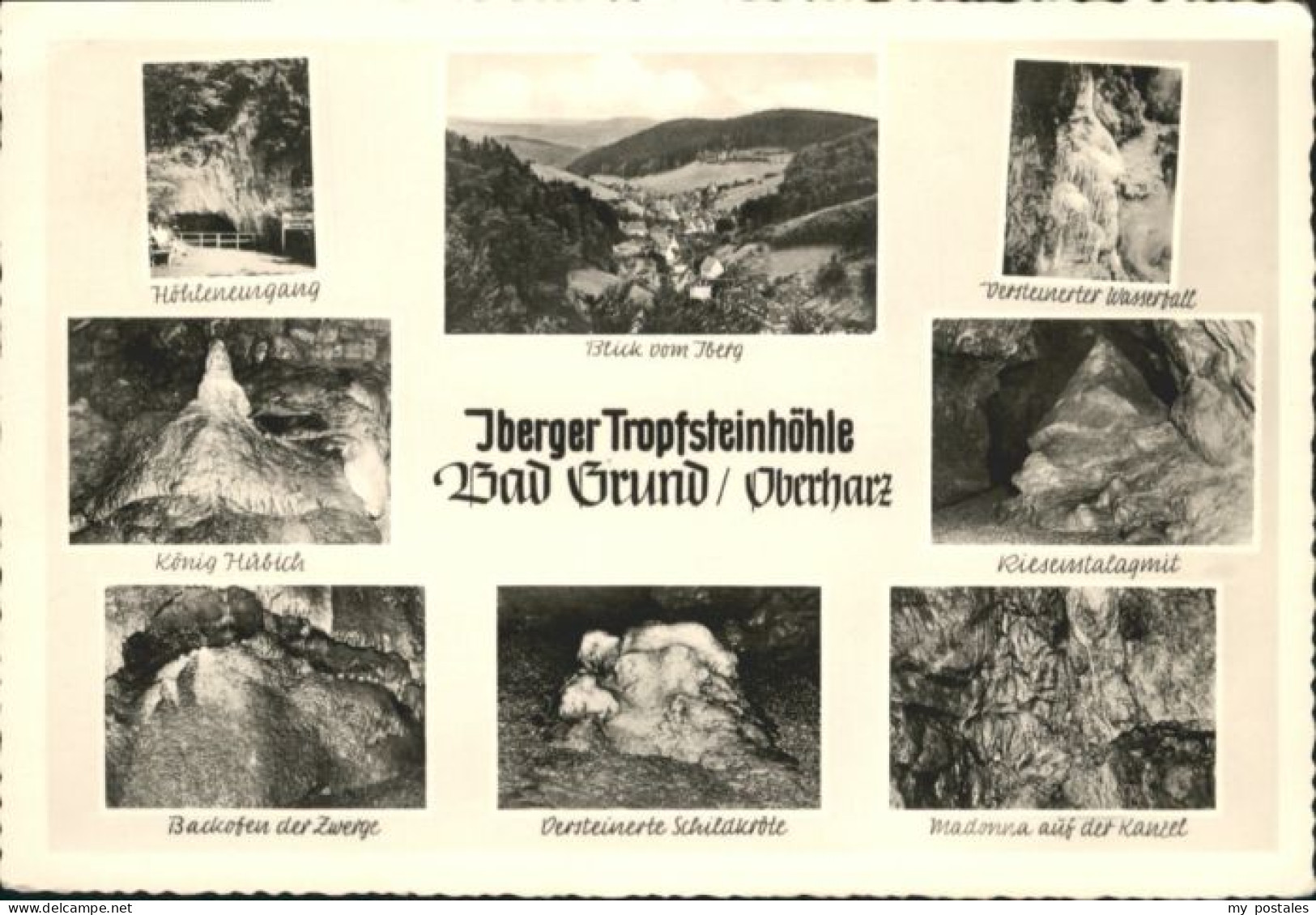 Bad Grund Bad Grund Harz Koenig Huebich Versteinerte Schildkroete Versteinerter