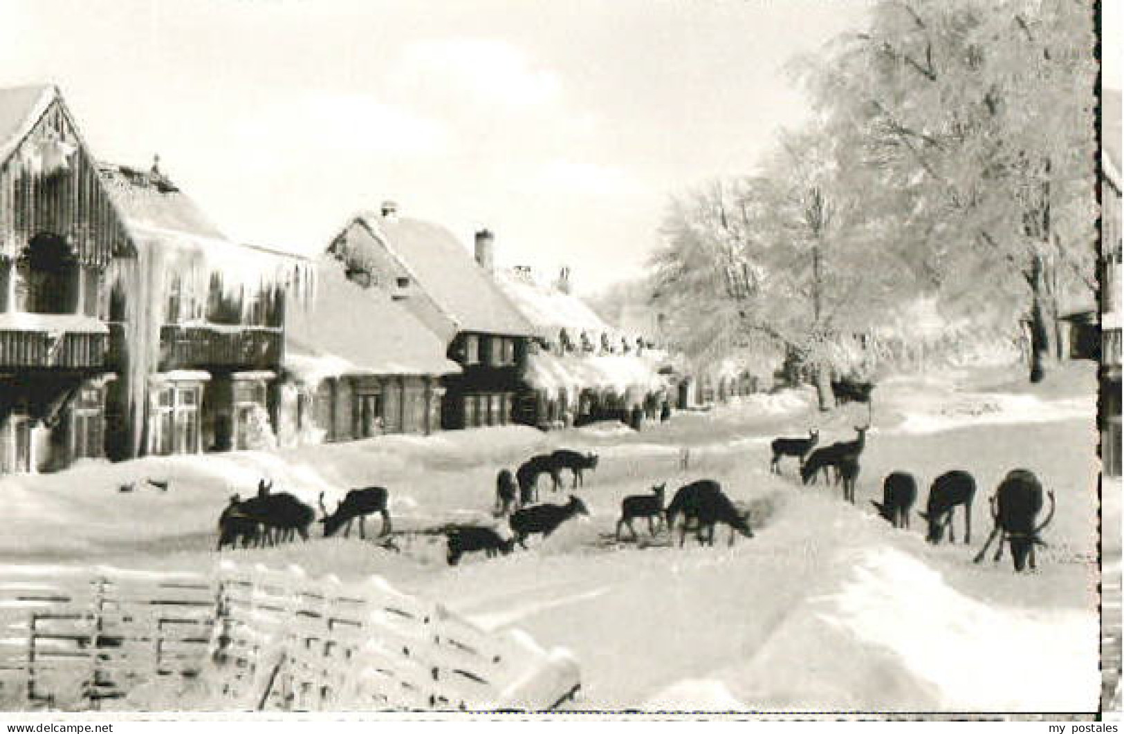 Bad Harzburg Molkenhaus Harz bei Bad Harzburg
