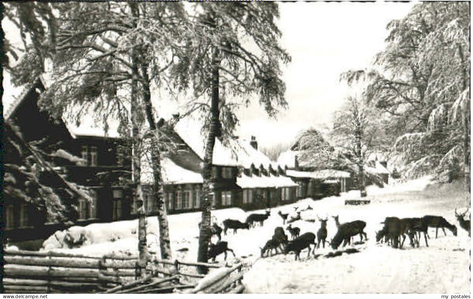 Bad Harzburg Molkenhaus Harz bei Bad Harzburg