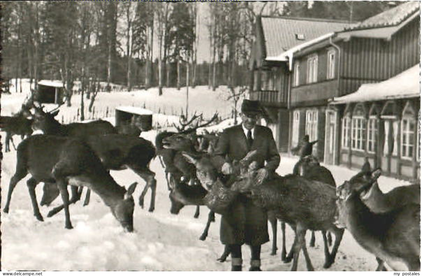 Bad Harzburg Molkenhaus Harz bei Bad Harzburg